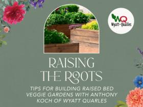 Raising the Roots: Tips for Build Raised Bed Veggie Gardens with Anthony Koch of Wyatt Quarles