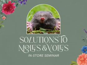 Solutions to Moles & Voles