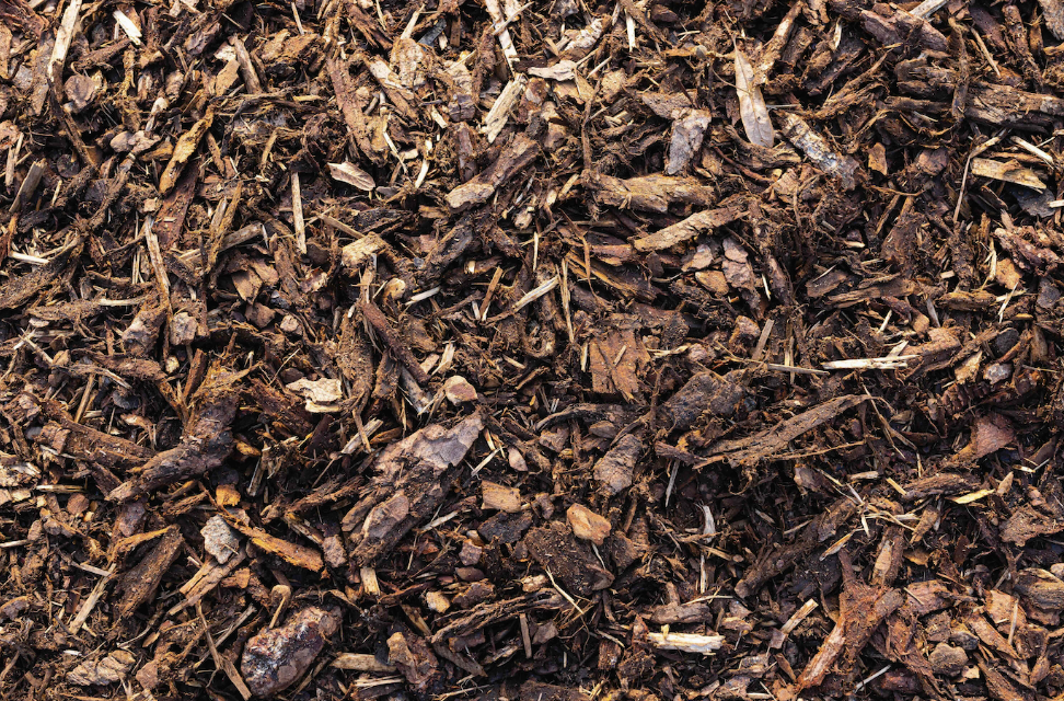 Mulch 1