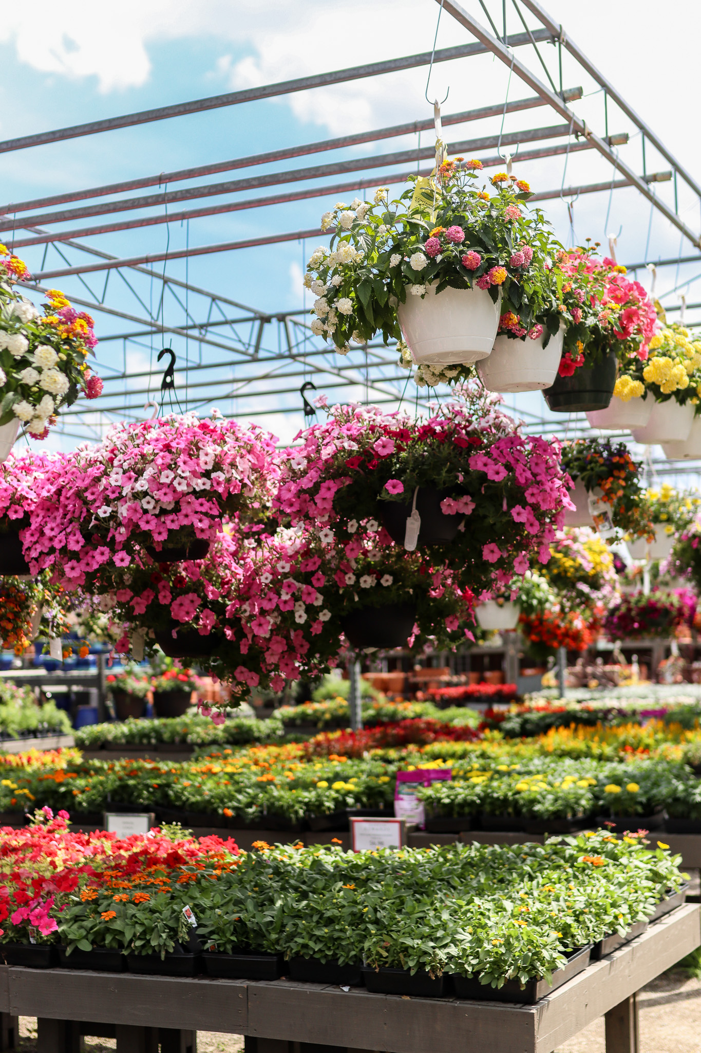 Tabletop Garden Toppers
