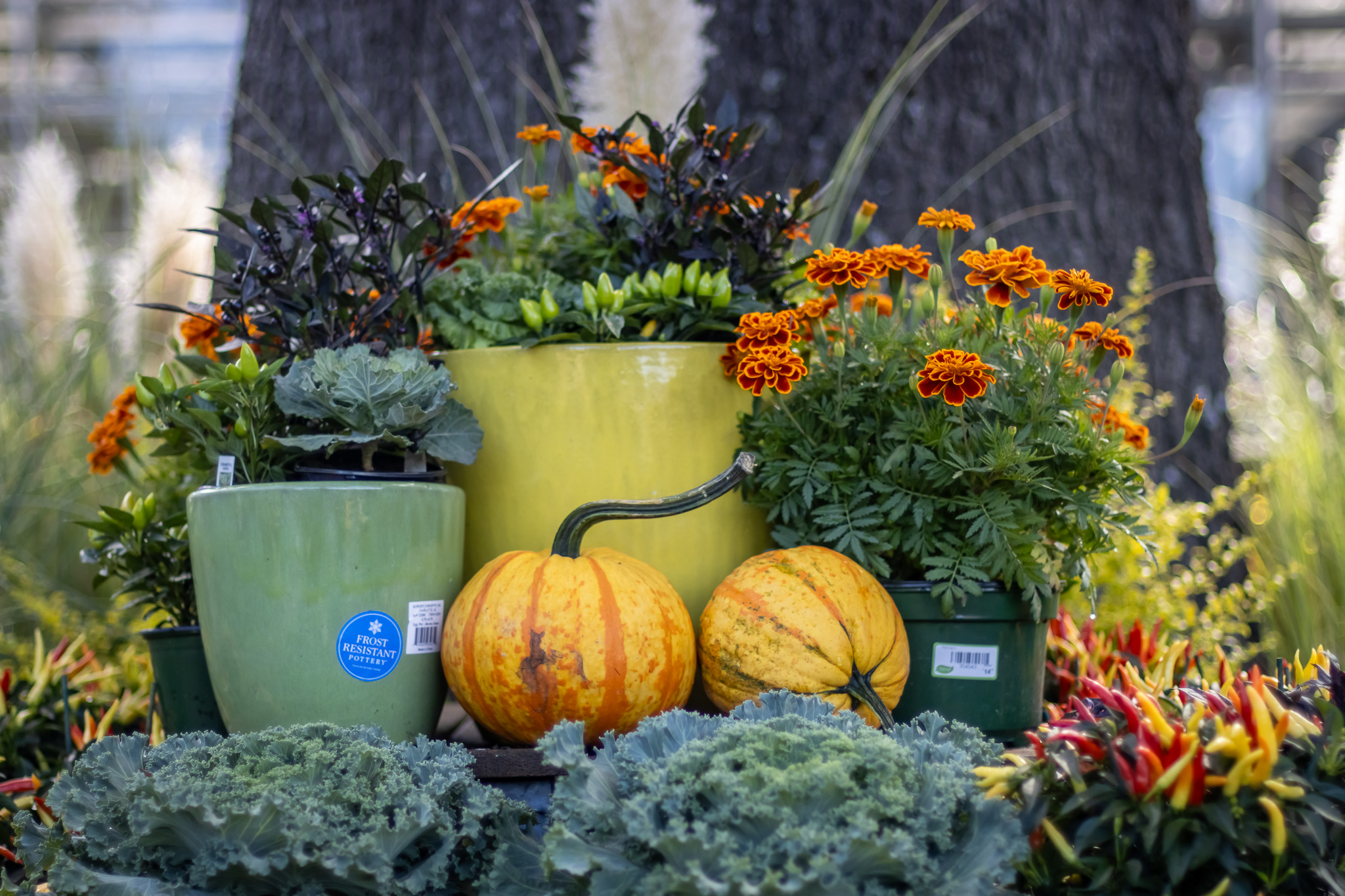 Play with Height and Texture