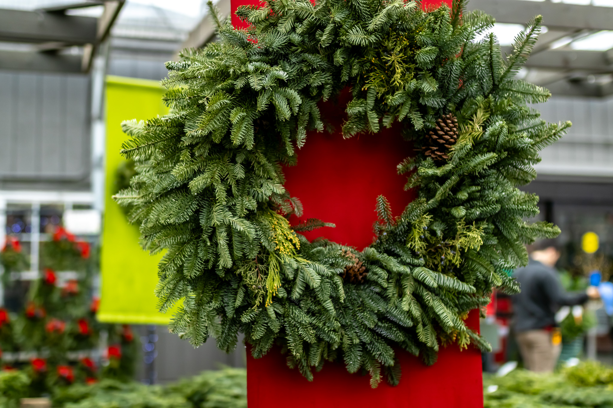 Use an Anti Desiccant Spray