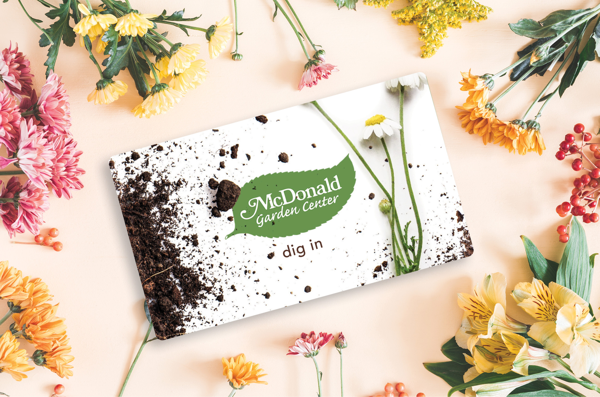Gift Card Example