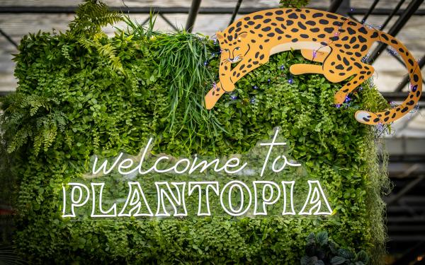 5 Plant Resolutions You’ll Actually Keep in 2026