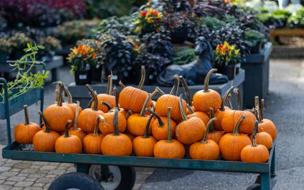  How to Style Your Porch with Pumpkins