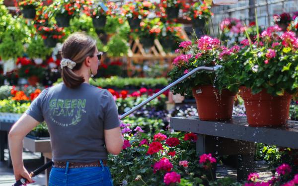 Blooming through the Heat: Essential Tips for Summer Plant Care