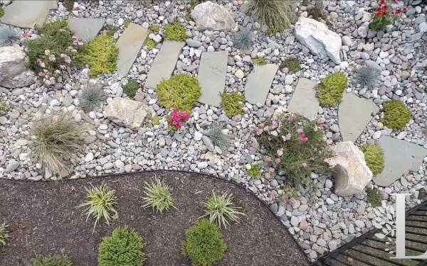 How to Level Up Your Low-Maintenance Landscape