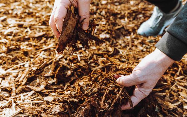 Which Mulch is Best for Your Landscape?
