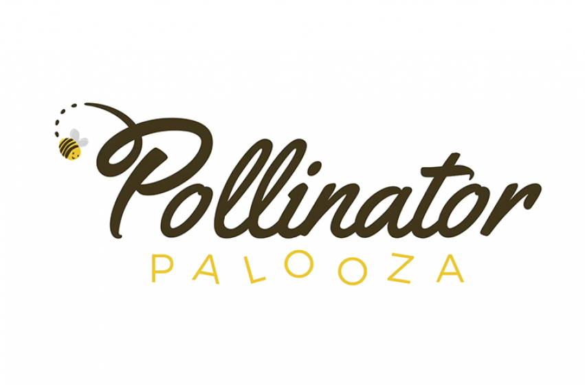 Pollinator Pazlooza