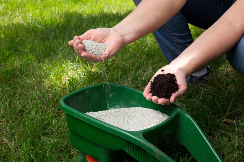 lawn kit, lawn food, lawn care, grass seed