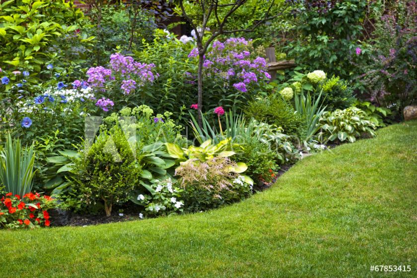 How to Feed the Plants in the Landscape, McDonald Garden Center