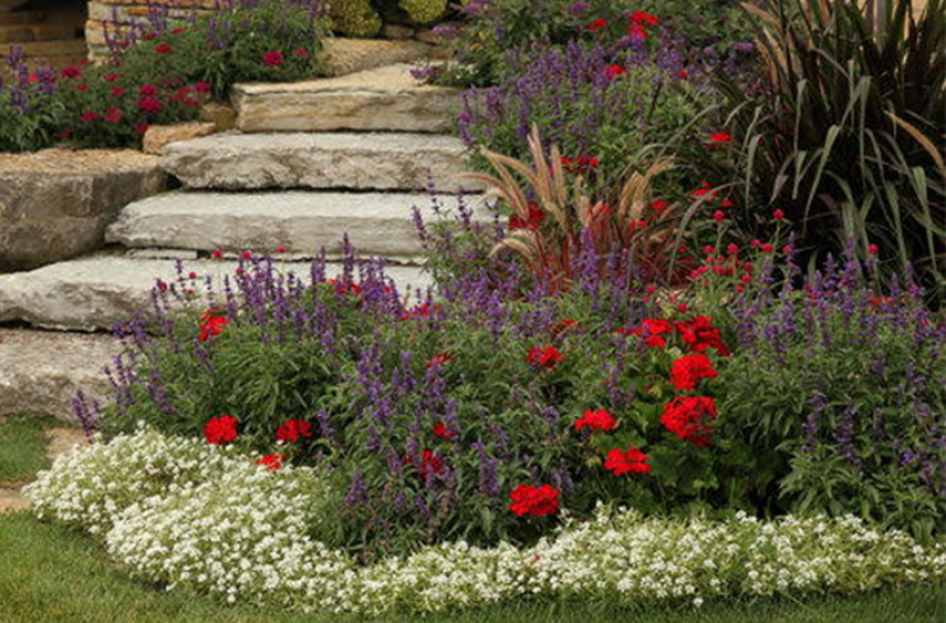 Annuals, McDonald Garden Center