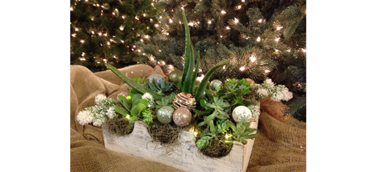 Holiday Centerpiece, McDonald Garden Center