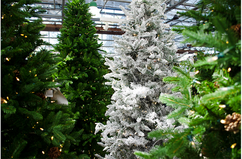 Lifelike Trees, McDonald Garden Center