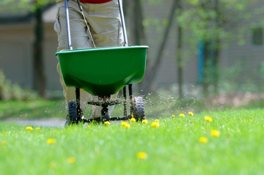 lawn kit, lawn food, lawn care, grass seed