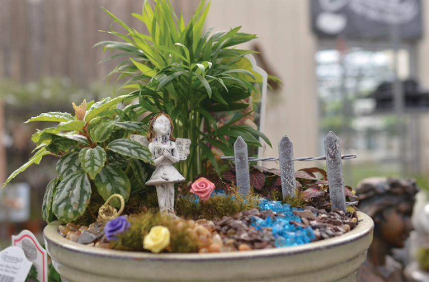 Miniature Gardens, McDonald Garden Center