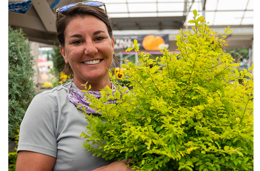 Staff Fall Favs, McDonald Garden Center