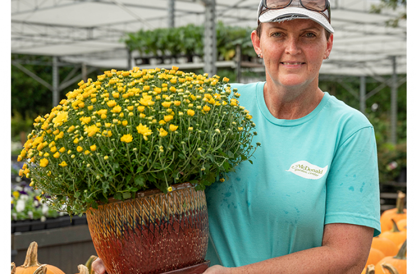 Staff Fall Favs, McDonald Garden Center