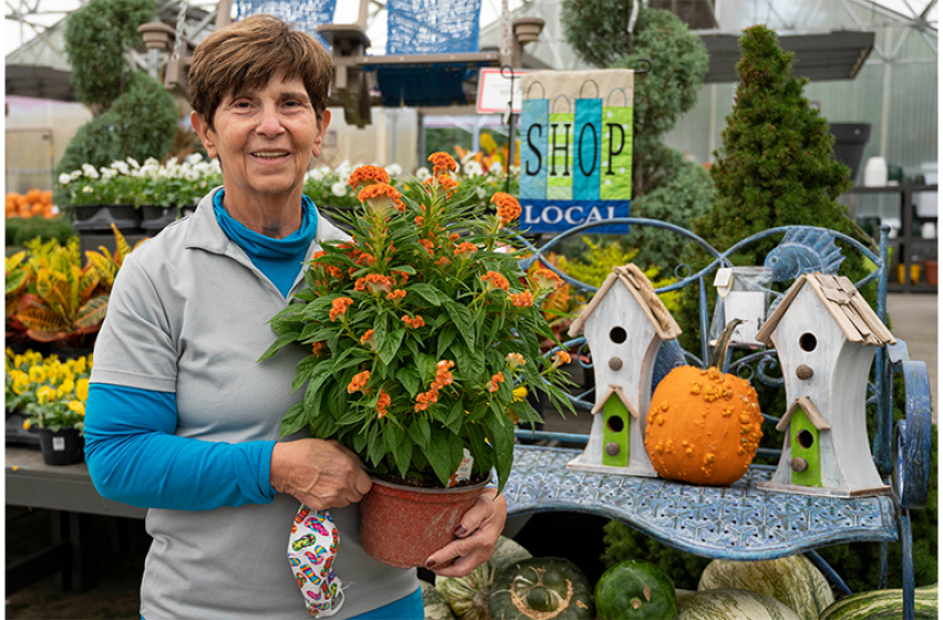 Staff Fall Favs, McDonald Garden Center