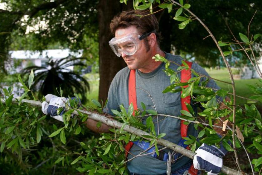 Man gardening