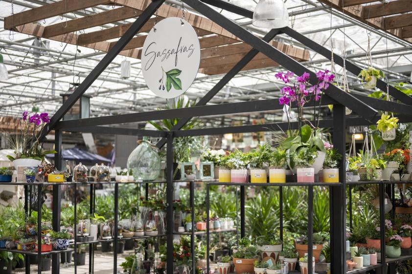Houseplants Mcdonald Garden Center - Mcdonalds Garden Center Virginia Beach Houseplants Mcdonald Garden Center - Mcdonalds Garden Center Virginia Beach