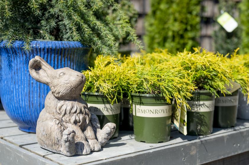 Statuary McDonald Garden Center