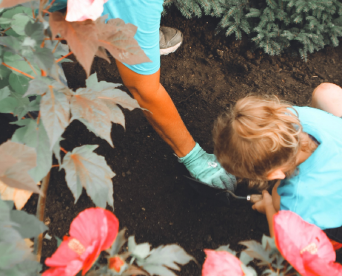 Planting seeds