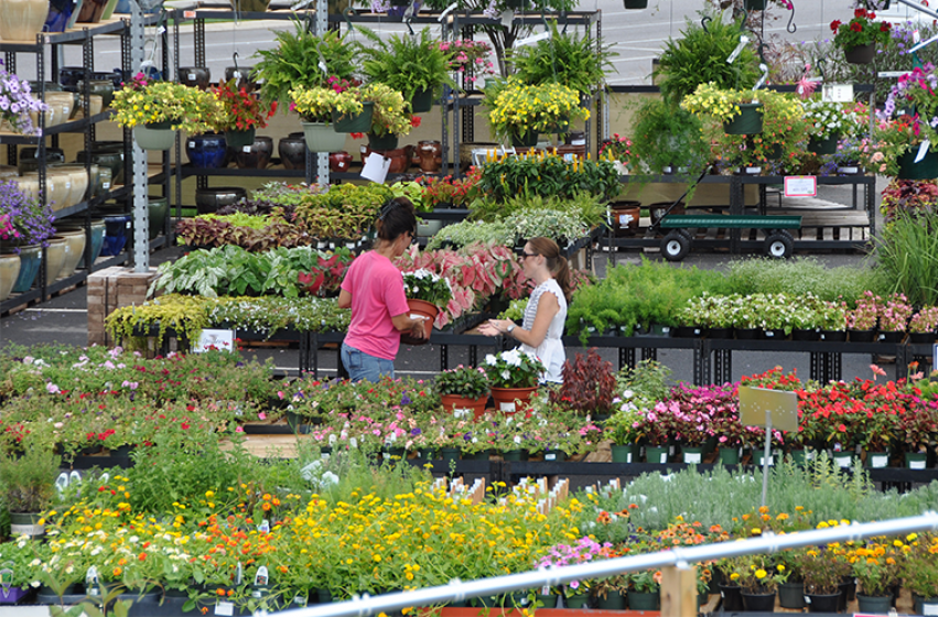 Garden Markets, McDonald Garden Center 