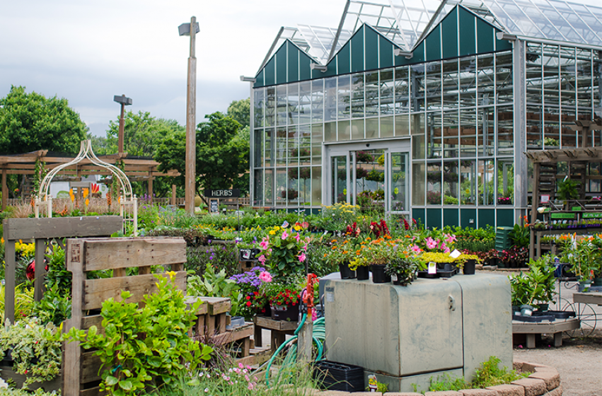 The History Of Mcdonald Garden Center - Mcdonalds Garden Center Virginia Beach The History Of Mcdonald Garden Center - Mcdonalds Garden Center Virginia Beach