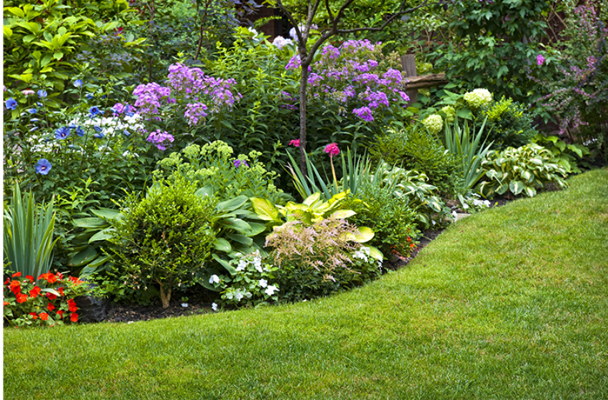 10 Essentials of Great Gardens, McDonald Garden Center 