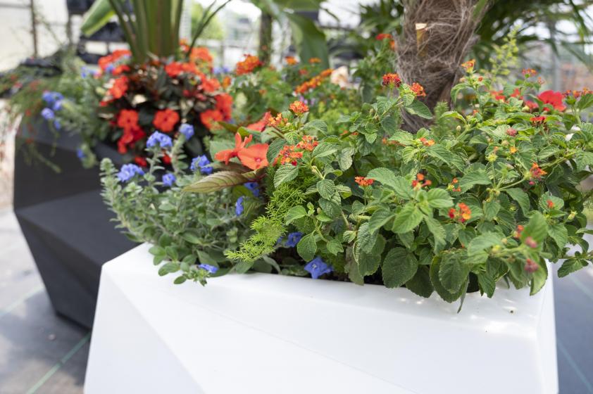 Custom Container Garden, McDonald Garden Center