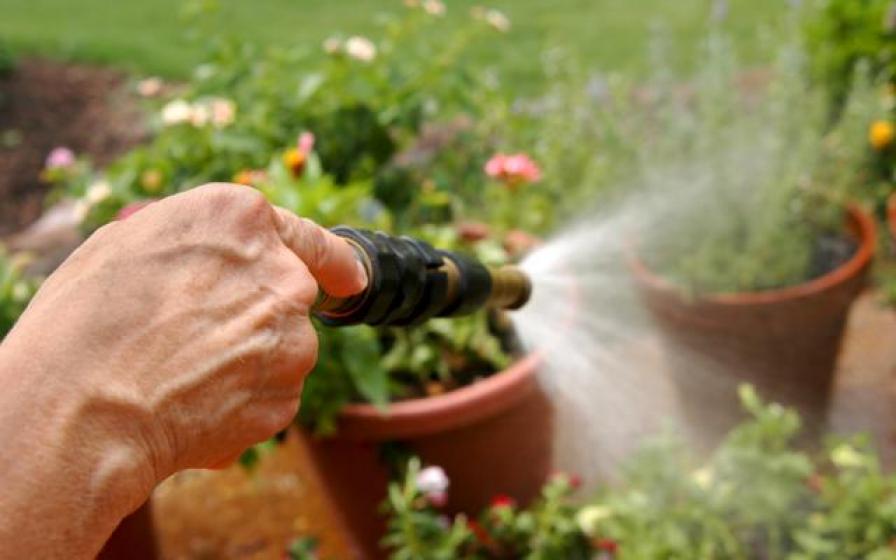 Watering Plants