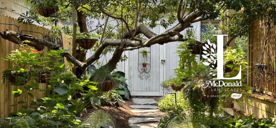 How to Prepare your Landscape for the Summer Months Ahead
