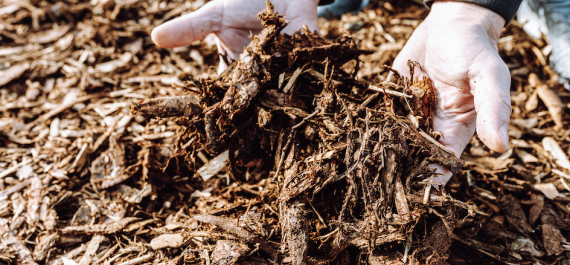 Creative Ways to Use Mulch in Your Landscape