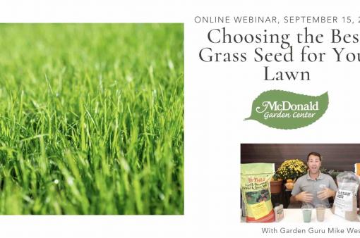 Choosing the Best Grass Seed for Your Lawn, McDonald Garden Center