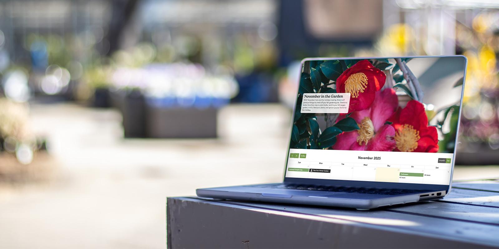 November Garden Planning Calendar