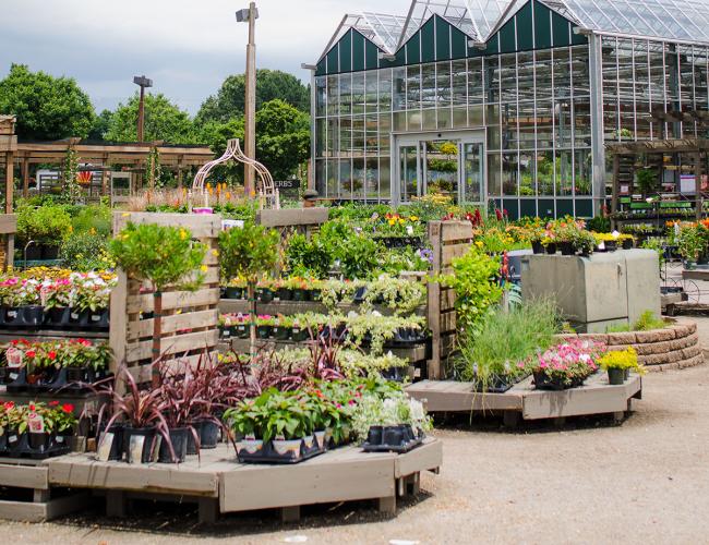 Locations Mcdonald Garden Center Locations Mcdonald Garden Center, Garden Centers Virginia Beach Va