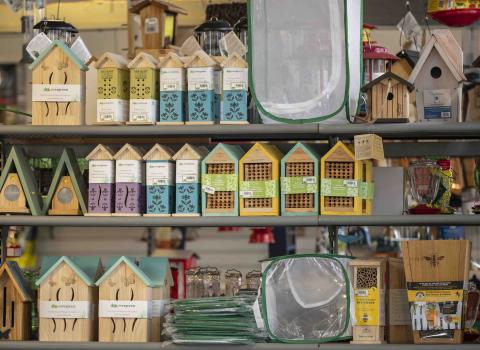 All Bee, Butterfly, Bird, and Bat Houses