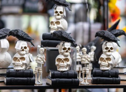 Halloween & Fall Indoor Decor