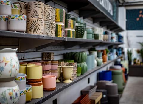 Indoor Ceramic Planters