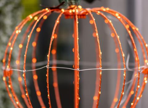 Halloween Lights