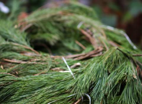 Christmas Greens Bunches & Boughs