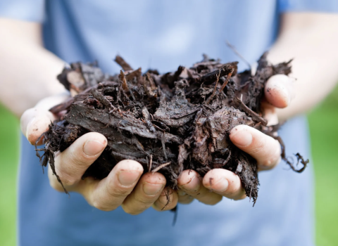 Mulch Madness Deal
