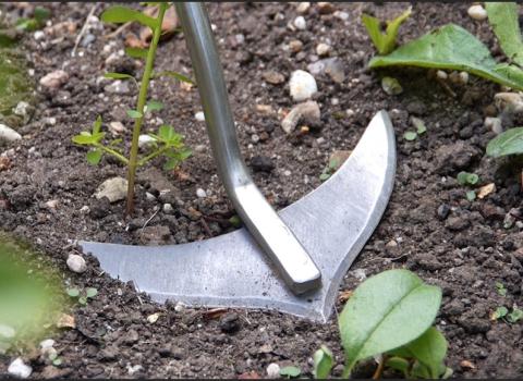 Long-Handled Weed Slice