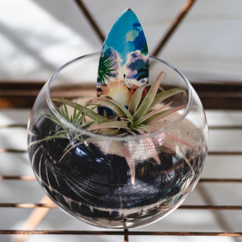 Beach Terrarium Workshop for Kids