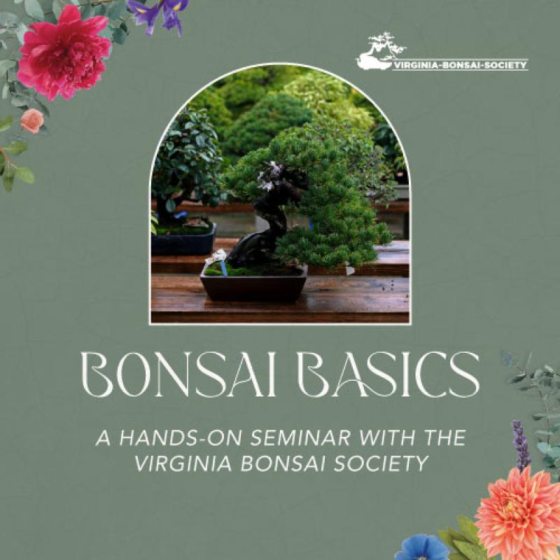 Join us on March 16th at 2:00 PM at our Independence Blvd. location for a unique seminar with the Virginia Bonsai Society. Their experts will guide you through the intricate art of bonsai care, covering everything from pruning techniques to shaping and nurturing your very own miniature masterpiece. Each participant will take home a starter bonsai, providing the perfect opportunity to put your new skills into practice. Plus, you'll have the chance to connect with fellow bonsai enthusiasts in a relaxed and in
