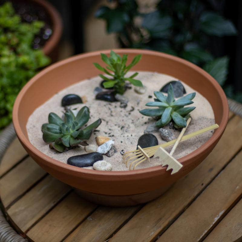 Build Your Own Zen Garden Workshop