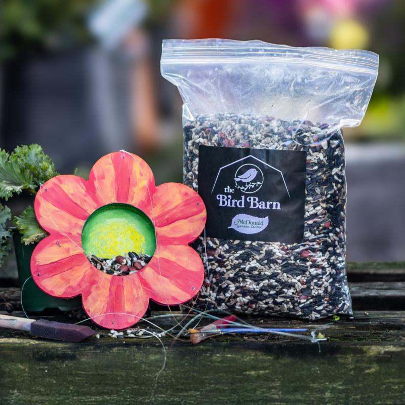 Paint Your Own Bird Feeder Workshop for Kids