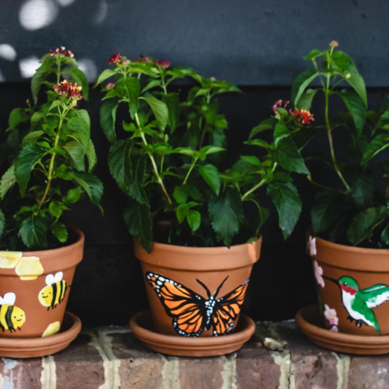 Pollinator Planter Workshop for Kids