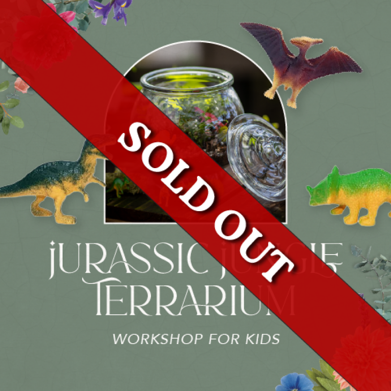 Jurassic Jungle Terrarium Workshop for Kids